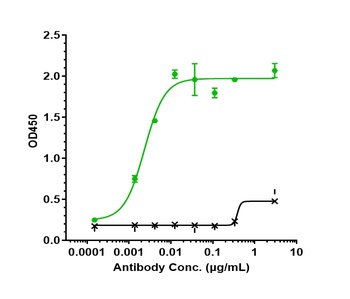 Anti-SLC1A5 / ASCT2 Reference Antibody