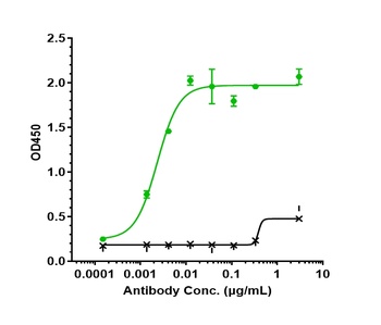 Anti-SLC1A5 / ASCT2 Reference Antibody (idactamab)