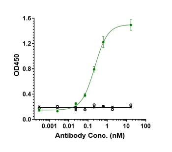 Anti-TGFb1 Reference Antibody (M7824)