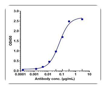 Anti-STAB1 Reference Antibody (bexmarilimab)