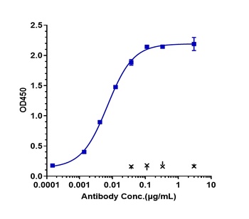 Anti-SIRPg / CD172g Reference Antibody