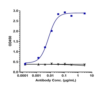 Anti-SIRPa / CD172a Reference Antibody