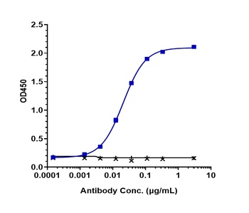 Anti-PVRIG Reference Antibody
