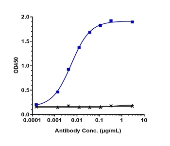 Anti-NRP1 / VEGF165R / CD304 Reference Antibody