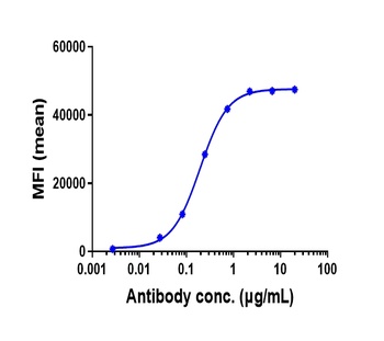 Anti-NRP1 / VEGF165R / CD304 Reference Antibody