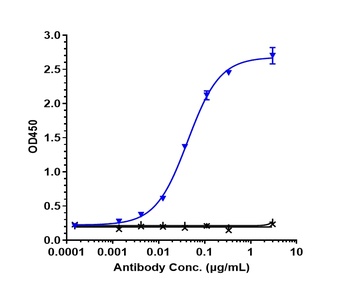 Anti-CXCL8 / IL-8 Reference Antibody (HuMax-IL8)