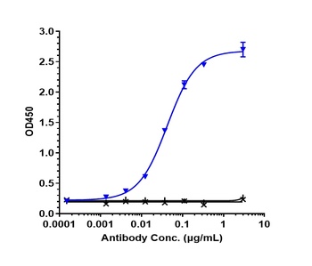 Anti-CXCL8 / IL-8 Reference Antibody