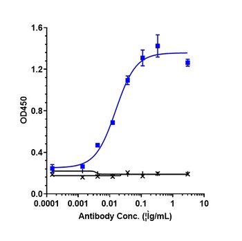 Anti-IL-33 Reference Antibody (etokimab)