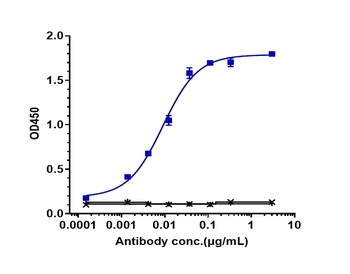 Anti-IL-23 Reference Antibody