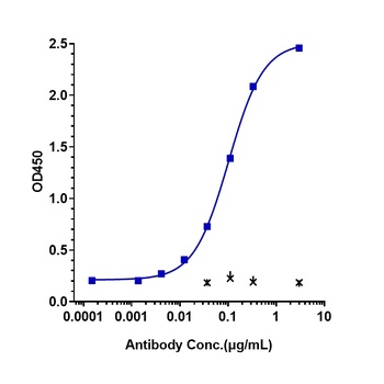 Anti-IL-22 Reference Antibody (fezakinumab)