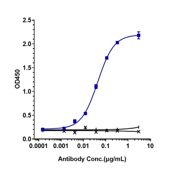 Anti-IFNa1 Reference Antibody (sifalimumab)