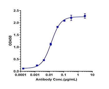 Anti-GPRC5D Reference Antibody (talquetamab)