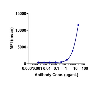 Anti-GPRC5D Reference Antibody