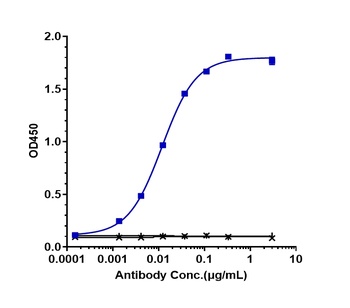 Anti-DLL4 Reference Antibody (navicixizumab)