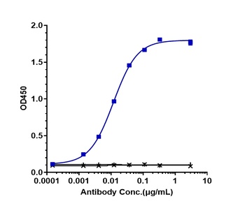 Anti-DLL4 Reference Antibody