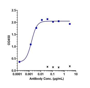 Anti-CLDN6 Reference Antibody