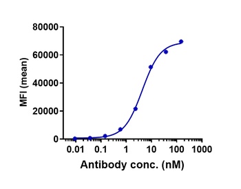 Anti-CLDN6 Reference Antibody