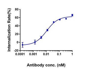 Anti-CLDN6 Reference Antibody