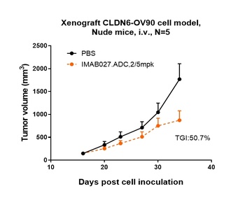 Anti-CLDN6 Reference Antibody