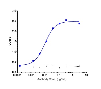 Anti-CLDN18.2 Reference Antibody