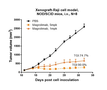 Anti-CD47 Reference Antibody