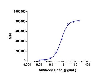 Anti-TNFRSF5 / CD40 Reference Antibody