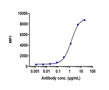 Anti-TNFRSF17 / BCMA / CD269 Reference Antibody (belantamab)