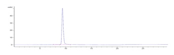 Anti-OX2R / CD200R1 Reference Antibody