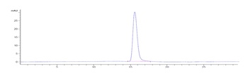 CD200 Antibody