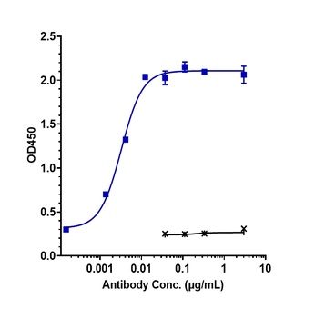 Anti-IL-3Ra / CD123 Reference Antibody (talacotuzumab)