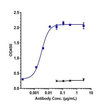 Anti-IL-3Ra / CD123 Reference Antibody