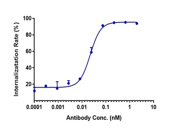 Anti-CDH6 / K-Cadherin Reference Antibody