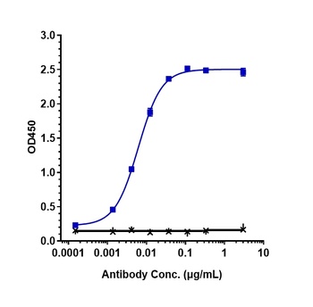 Anti-C1s Reference Antibody