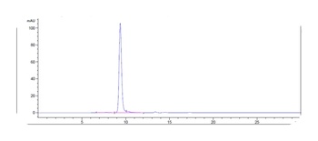 Anti-BST2 / CD317 Reference Antibody