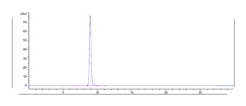 Klotho Beta Antibody