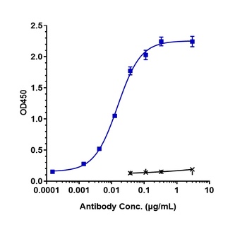 B7-H5/VISTA Antibody