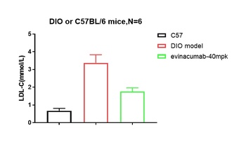 Anti-ANGPTL3 Reference Antibody (evinacumab)
