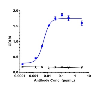 Anti-ACVR2B Reference Antibody (bimagrumab)