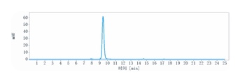Anti-VEGFA Reference Antibody (bevacizumab)