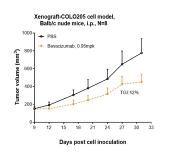 Anti-VEGFA Reference Antibody (bevacizumab)