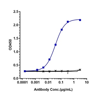 Anti-TNFSF2 / TNFa Reference Antibody (infliximab)