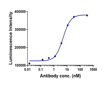 Anti-TIGIT Reference Antibody