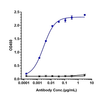 Anti-ROR1 Reference Antibody