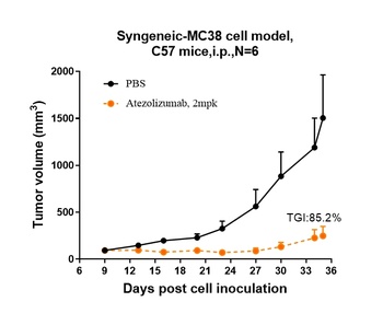 Anti-B7-H1 / PD-L1 / CD274 Reference Antibody (atezolizumab)