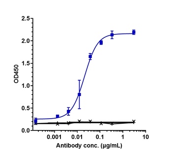 NKG2D/CD314 Antibody