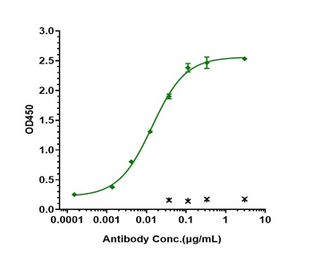 Anti-ERBB2 / HER2 / CD340 Reference Antibody