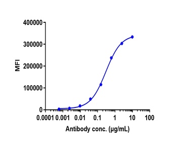 Anti-ERBB2 / HER2 / CD340 Reference Antibody