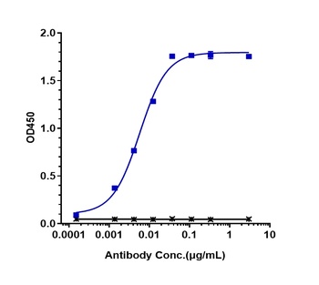 Anti-ERBB2 / HER2 / CD340 Reference Antibody