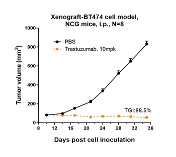 Anti-ERBB2 / HER2 / CD340 Reference Antibody