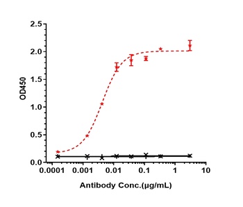 Anti-ERBB2 / HER2 / CD340 Reference Antibody